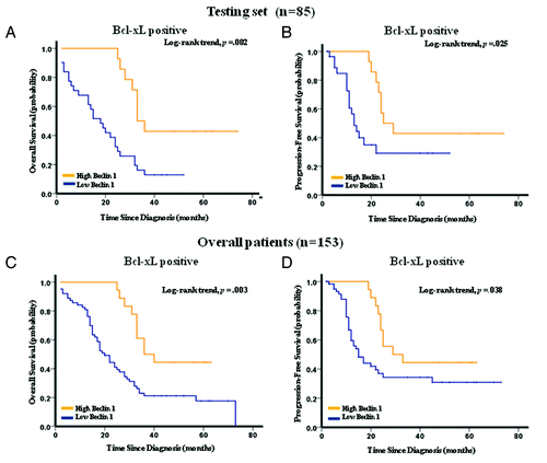 Figure 5. Kaplan-Meier estimation of overall survival and progression-free survival in the testing set (A and B), and overall patients (C and D), according to Beclin 1 expression in Bcl-xL positive patients. The patients with high expression of Bcl-xL, including 45 cases in the testing set and 81 cases in overall patients, were subjected to Kaplan-Meier survival analysis according to their Beclin 1 expression level. For patients with overexpression of Bcl-xL in the testing set (n = 45) and overall patients (n = 81), the median duration of overall survival for patients with high and low expression of Beclin 1 was 33 vs. 18 mo (p = 0.002), and 36 vs. 20 mo (p = 0.003) respectively.