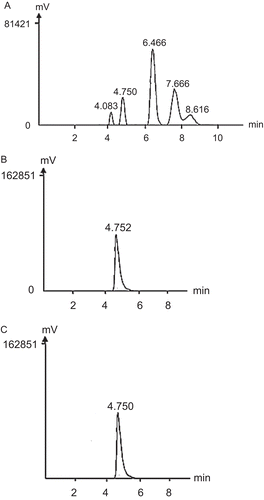 Figure 3.  HPLC traces showing (A) the monosaccharide standards, from left to right, ribose (4.083 min), xylose (4.750 min), fructose (6.466 min), glucose (7.666 min) and galactose (8.616 min); (B) P11 and (C) P21.