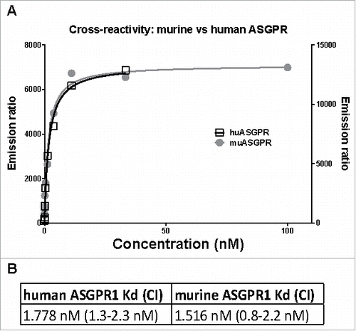Figure 1. TagLite analysis of the ASGPR Ab to human and mouse ASGPR1. (A) HEK293 EBNA cells were transiently transfected with either a human or a mouse ASGPR1-SNAP tag fusion construct and the SNAP tag was labeled with Tb. A three-fold dilution series of the ASGPR Ab ranging from 100 to 0.005 nM in combination with a d2-labeled anti-human Fc antibody was incubated with the cells. After 3 hours of incubation, FRET signals were measured. Emission ratio (665 nm/620 nm) data is plotted in black (right y axis) or in grey (left y axis) for human or murine ASGPR1, respectively. Lines are the respective fitted binding curves. (B) calculated dissociation constants (Kd) and their confidence interval (CI).