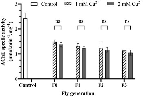 Figure 6. Copper induces AChE inhibition. The reaction mixture consisted of 10 µL of fly homogenizer, 10 µL of acetylcholine chloride in 2.6 mM methanol, and 200 µL of 0.1 mM, pH 7.0 sodium phosphate buffer. Measure OD at the wavelength of 405 nm to get blank and add 80 µL of 0.3% Fast blue B salt to the mixture and measure OD at the wavelength every 5 min for 20 min. Protein concentration of the samples helped to standardization of the results. The control was described in the legend of Figure 4. Enzyme activity was calculated by EquationEq. (6)(6) AAChE=ΔA×Vt ε405×d×VS×Ct× 0.001  μmol  min−1 mg of protein−1(6) , described in Materials and Methods. The values are introduced as the average ± amount of variation of triplicate experiments, and the difference was measured using the 2-way ANOVA and the t-test. For 1 mM Cu2+: p = 0.0022 F0, p = 0.0014 F1, p = 0.0030 F2, p = 0.0006 F3 vs. Control, respectively; for 2 mM Cu2+ p = 0.0015 F0, p = 0.0008 F1, p = 0.0008 F2, p = 0.0006 F3 vs. Control, respectively.