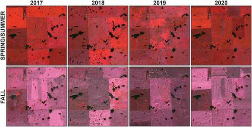 Figure 2. Sentinel-2 multispectral time-series images illustrating the dynamic nature of prairie pothole wetlands in spring/summer (May–August) and fall (September–November) months of 2017, 2018, 2019 and 2020