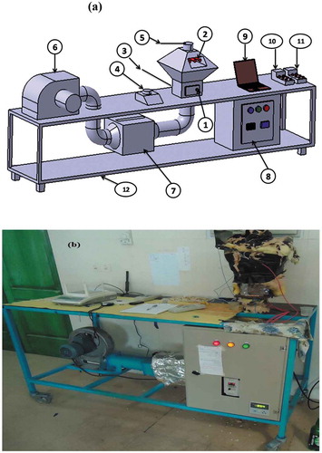 Figure 1. (a) The scheme of the laboratory scale infrared dryer used: 1-drying chamber, 2-lamp infrared, 3-air temperature sensor, 4-precision balances, 5-air velocity sensor, 6-fan and electrical motor, 7-electrical heater, 8-inverter and thermostat, 9-computer, 10-thermometer, 11-psychrometer, 12-chassis; (b) The laboratory-scale infrared dryer