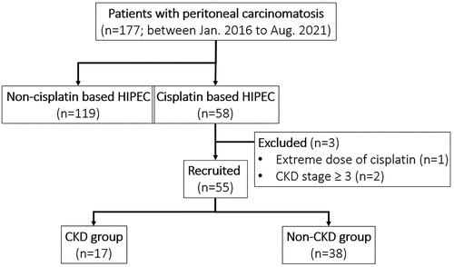 Figure 1. Patient allocation flow diagram. Fifty-five patients completed the study. One patient was excluded for extreme dose of cisplatin due to primary tumor of mesothelioma, and another 2 patients were excluded for advanced CKD stage.