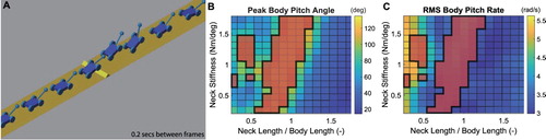 Figure 3. After showing a noticeable effect with static mass changes [Citation22], we used a simulation to explore the effect of an elastic head (A). A neck and head were modelled as a mass (equal to 10% body mass) on a rigid rod, connected to the body via a torsional spring. (B) The simulation showed that the pitching of the body in response to an obstacle could be suppressed by the appropriate neck size and stiffness, although certain neck lengths and stiffnesses caused the robot to overturn (red shaded regions, indicating runs where the robot did not reach >2 m past the obstacle, or >10 body lengths). (C) RMS pitch rate over the entire run captures both pitch back and pitch forward afterward.