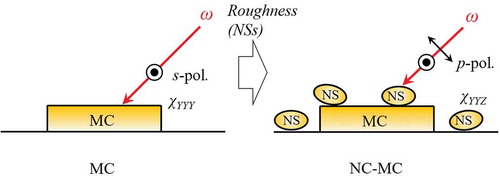 Figure 13. Polarization scrambling effect induced by the roughness of nanostructures.