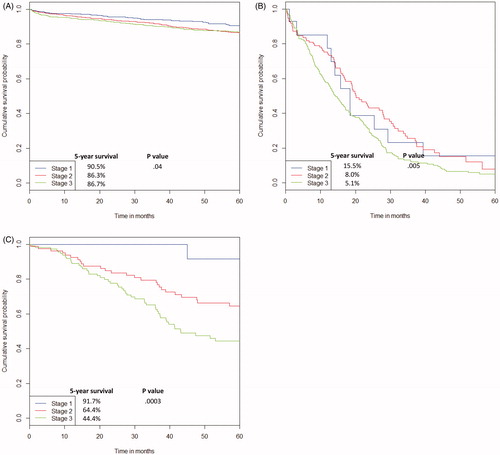 Figure 3. 5-Year overall survival for patients who did not recur (A); 5-year residual survival for those who recurred and did not undergo salvage surgery (B); and 5-year residual survival for those that recurred and underwent salvage surgery (C).