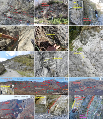 Figure 4. Examples of tectonic structures outcropping in the study area. (A) Flat lying thrust, duplexing the Metapelite Unit; (B) NW-SE trending left-lateral strike-slip fault; (C) NW-SE fault with left-lateral kinematics (slickenline in the inset); (D) N–S-oriented thrust in the Serravallian sandstone of the Amantea basin infill; (E) oblique slickenline on left-lateral NW-SE oriented fault; (F) fault damage zone constituted by cataclasite and breccia along the regional AGF zone; (G) NE-SW fault plane displacing the dolostone unit (footwall) and the phyllite unit (hanging-wall); (H) right-lateral transcurrent indicators; (I) dip-slip normal kinematic indicators; (J) Array of parallel normal faults in the high Licetto River valley; (K) particular of the spectacular N–S fault plane crossing the Mt. Cocuzzo Unit; (L) East dipping N–S normal faults involving the Metapelite Unit in the Pizzotto slope; (M) particular of a N–S fault plane in quartzite layers overprinted by slikenlines with dip-slip normal kinematics (in the inset); (N) N–S normal fault offsets a NW-SE strike-slip fault.