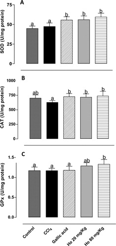Figure 3. Activity of (A) SOD, (B) CAT, and (C) GPx in liver tissues from control, CCl4-treated, GA-treated, and Halimeda opuntia-treated rats. Different letters indicate statistically significant differences, P < 0.05.