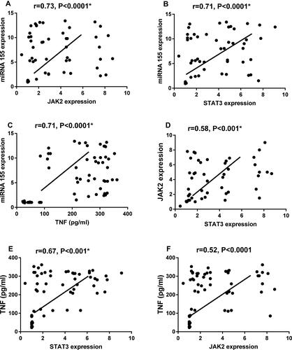 Figure 6 Spearman correlation between miR-155 relative expression level and JAK2 (A), STAT3 expression (B) and TNF-α level (C) and between JAK2 & STAT3 expression (D) and between TNF-α level with STAT3 (E) and JAK2 expression (F) among ischemic stroke patients and controls.
