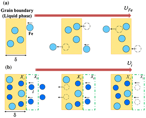 Figure 1. Schematics of grain boundary movement (a) in pure iron and (b) including solute.[Citation16]