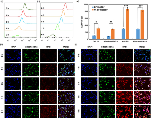 Figure 2 In vitro study of FA-ZIF-90 and ZIF-90 nanomaterials uptake by human ovarian cancer cisplatin-resistant cells (A2780/DDP). (a and b) Flow cytometry analysis of internalization of ZIF-90/RhB and FA-ZIF-90/RhB nanoparticles by A2780/DDP cells over time. (c) Cytosolic and mitochondrial accumulation of ZIF-90/RhB and FA-ZIF-90/RhB nano system corresponding to 2 h and 8 h of incubation in A2780/DDP cells respectively. (d) A2780/DDP cells over time uptake of ZIF-90/RhB confocal fluorescence micrographs and (e) FA-ZIF-90/RhB confocal fluorescence micrographs (Scale bar = 50 µm). Data from ICP-OES represent the mean ± SEM of three independent experiments. Statistical significance among groups: *P < 0.05, **P < 0.01, ***P<0.001.
