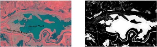 Figure 5. (a) Infrared colour composition. (b) NDWI Image (Xu Citation2006).