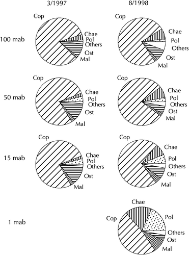 Figure 2.  Relative abundance of major zooplankton groups at the sampling layers. Left: March 1997; right: August 1998. Cop: Copepoda; Chae: Chaetognatha; Pol: Polychaeta; Ost: Ostracoda; Mal: Malacostraca.