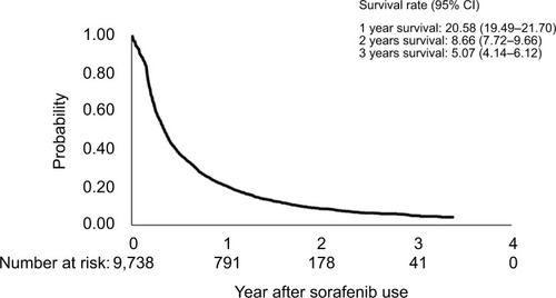 Figure 1 Kaplan–Meier plots of time to discontinuation of sorafenib for all patients.
