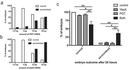 Figure 6. GdcA interacts synergistically with YbeX in zebrafish embryos. (a) Titration of mRNA encoding GdcA in embryos and outcomes were scored after 24 h. (b) Titration of ybeX mRNA. (c) Combined effects of RNA encoding GdcA and YbeX where 1 pg of each mRNA were co-injected, and embryos were scored for phenotypes after 24 h. Results are the mean percentage from two independent experiments ± SD, where 25–50 embryos were used per condition per experiment. ** p < 0.01, * p < 0.05 by two-way ANOVA and Tukey post-test. ND = not detected.