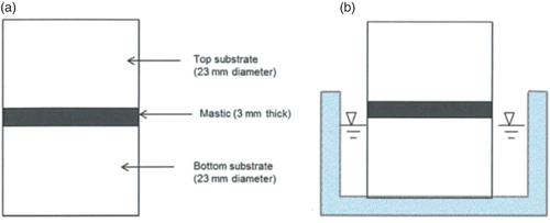 Figure 1. (a) Adhesion test specimen showing butt-jointed specimens consisting of 3-mm thick asphalt mastic sandwiched between two 15-mm thick by 23 mm diameter aggregate substrates. (b) Specimen with bottom substrate partially submerged to ensure water enters aggregate–mastic interface before entering bulk mastic material.