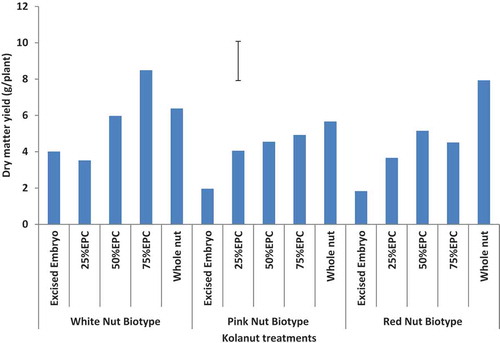 Figure 4. Dry matter yield (g/plant) of kola plantlets as influenced by nut bio-type colour and mini-nut treatment (16 WAS).