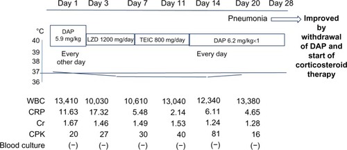 Figure 1 Clinical course of case 1, an 80-year-old female who was treated for infectious endocarditis due to methicillin-resistant coagulase-negative staphylococcus. Renal function: creatinine clearance 23.1 mL per minute and estimated glomerular filtration rate 20.3 mL/min/1.73 m2.