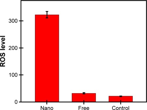 Figure 4 Increase in the intracellular level of ROS observed after the 4T1 cell lines were incubated with drug-loaded nanoparticles compared to free 5-fluorouracil and curcumin, respectively.Abbreviation: ROS, reactive oxygen species.