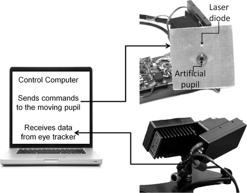 Figure 5. Illustration of the moving artificial pupil setup: The computer controls in real-time a modified EyeSeeCam platform (Schneider et al., Citation2009). An artificial pupil and a laser diode were attached to the front surface and an accelerometer (not shown) is attached to the back surface of the platform. This computer controlled platform can be used to move the pupil and/or the laser projection in a manner that closely mimics biological eye motion. The eye movement monitoring system (EyeLink 1000 Plus, SR Research Ltd) tracks the moving artificial pupil and sends real-time data to the control computer. Both the eye tracker and the moving platform were clamped to an optical bench in order to minimize the impact of environmental or mechanical vibrations.