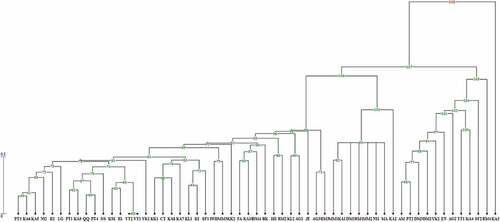 Figure 3. UPGMA dendrogram of 57 Diospyros genotypes based on Scot molecular marker. The code is the same as .Table 1