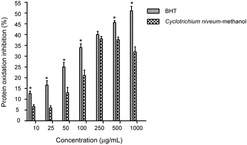 Figure 9.  Inhibitory effect of methanol extract of C. niveum and BHT on protein (BSA) oxidation expressed as protein inhibition induced by H2O2/Fe3+/ascorbic acid system. Each value is expressed as mean ± SD (n = 3). All values statistically significant than control (p < 0.05). *BHT statistically significant than methanol extract of C. niveum.