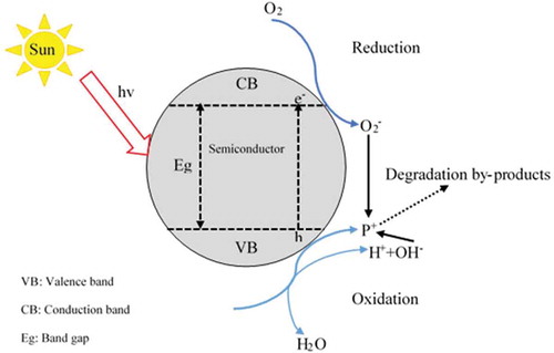 Figure 8. Photo-degradation of water pollutant (P) by a semiconductor photocatalyst. Adopted from reference 166 (Chong, Jin, Chow, & Saint, Citation2010 ).