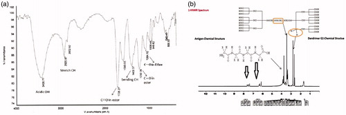 Figure 1. FTIR spectrum of G1 and G2 dendrimers (1a) and NMR characterization of conjugated dendrimer with polytope (1b).