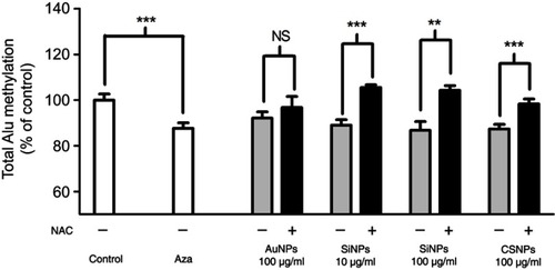 Figure 11 DNA methylation level of Alu in the engineered nanoparticle-exposed cells pretreated with N-acetylcysteine (NAC).Notes: Human keratinocyte (HaCaT) cells were pretreated with the antioxidant NAC for 30 mins before being exposed to gold nanoparticles (AuNPs), silicon nanoparticles (SiNPs), and chitosan nanoparticles (CSNPs) for 72 hrs. Cells in the control groups were left untreated (Control) or treated with the DNA demethylation agent 5-azacytidine (Aza) to represent the hypomethylation condition. Comparisons were made between the total Alu DNA methylation levels in the NAC-pretreated cells (+) and un-pretreated cells (−) using unpaired t-tests and between the NAC-pretreated cells, Aza, and control using analysis of variance. Values are mean ± SD. **P<0.01, ***P<0.001.Abbreviation: NS, not significant.