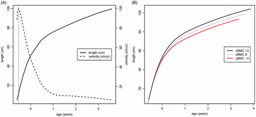 Figure 5. (A) Mean distance and velocity curves for length back-transformed from the square root scale. Age at peak velocity is marked. (B) SITAR-predicted length growth curves corresponding to BMC z-scores of −2, 0 and +2, respectively.