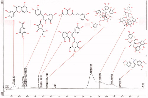 Figure 1. High-performance chromatography profile of Phyllanthus muellarianus aqueous leaf extract.