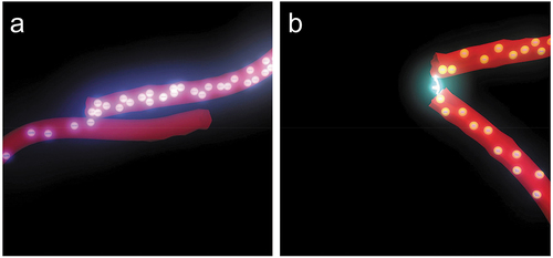 Figure 6. Electron conduction mechanisms in ECCC: (a) contact resistance; and (b) electron tunneling [Citation145, Citation146].