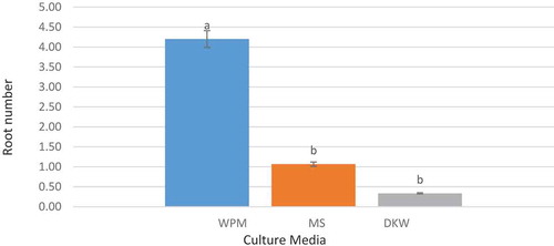 Figure 4. The effect of culture media on root number (the columns with common letters do not statistically differ from each other at 5% significance level based on the Duncan multiple range test)