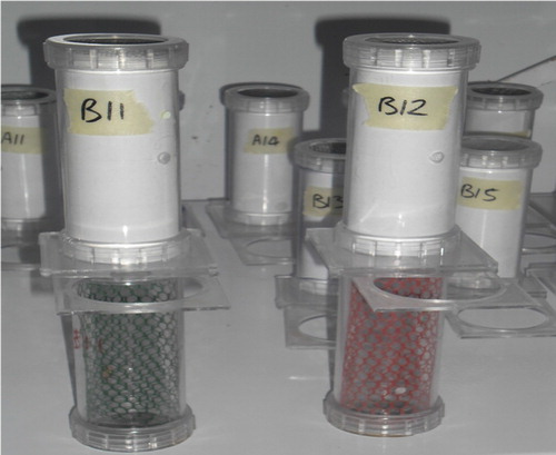 Figure 2. WHO bioassay tube test set up for evaluating the residual efficacy of insecticidal mesh samples.