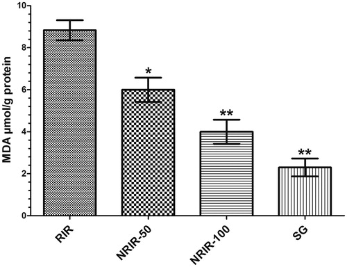 Figure 1. RIR, NRIR-50, NRIR-100, and SG groups on MDA levels in rat renal tissue. NRIR-50, NRIR-100, and SG groups were compared with the RIR group. *p < 0.05, **p < 0.0001.