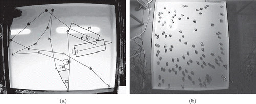 Figure 4. Coverage by (a) 2 and (b) 13 robots. Ten seconds of motion (10 images) are shown, as difference images extracted from the video sequences.