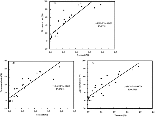 Figure 2. Correlation between (a) Pb (II), (b) Cu (II), and (c) Ag (I) removal rates and P content of a total of 22 biochars. (initial concentrations of adsorbate: 500 mg/L Pb (II), 100 mg/L Cu (II), and 500 mg/L Ag (I), corresponding pH 5.75 ± 0.10, 5.80 ± 0.10, 6.85 ± 0.10, respectively; contact time: 48 h; temperature: 25 ± 0.5°C; adsorbent dose: 2 g/L; and adsorbate solution volume: 25 ml).