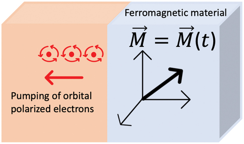 Figure 6. Sketch of the orbital pumping effect. In the presence of dynamical magnetisation in an FM, orbital polarized current can be pumped from the FM to the nonmagnetic material.