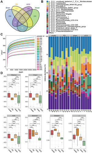 Figure 4 UCG improved the relative abundance of some gut microbiota in ESRD rats receiving PD.