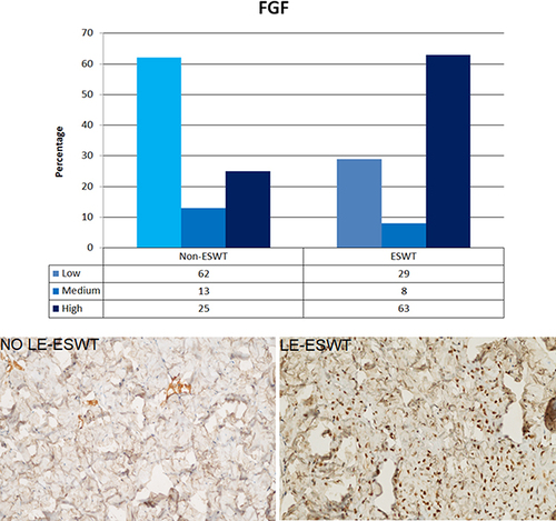 Figure 3 Fibroblast Growth Factor. Graph shows scoring distribution (%) for FGF in rats that either received LE-ESWT or anesthesia only. Bottom left image shows a representative tissue slice from the LE-ESWT-negative group. Bottom right image shows a representative tissue slice from the LE-ESWT-positive group.