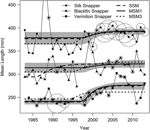 FIGURE 2. Observed mean lengths (points and thin lines) and predicted mean lengths (bold lines) from the single-species model (SSM), multispecies model 1 (MSM1), and multispecies model 3 (MSM3) for Silk Snapper, Blackfin Snapper, and Vermilion Snapper. The gray shaded region indicates the 95% confidence interval of the predicted mean length from MSM1 using the derived asymptotic SEs. Concentric circles indicate the annual sample size of observed lengths (small circles = 100–249; medium circles = 250–499; large circles = 500 or more). No circles were drawn for sample sizes less than 100. The observed mean length in 1988 for Silk Snapper (514 mm from 29 samples) is not shown but was used in the analysis.