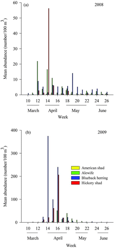 FIGURE 5 Mean weekly abundance of larval alewives, blueback herring, and hickory shad in (a) 2008 and (b) 2009 in the Roanoke River and Albemarle Sound. Note the differences in the scale of the y-axis.