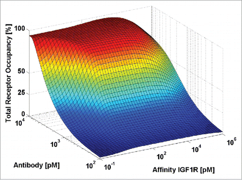 Figure 5. Influence of IGF1R affinity on total binding on tumor cells. A surface plot in which receptor occupancy (%, z-axis) was simulated as function of IGF1R affinity (pM, x-axis) and antibody concentration (pM, y-axis). Simulation of total receptor occupancy on the tumor cell. Kd ranges from high (0.1pM) to low (1×106 pM) affinity for IGF1R. The antibody concentration ranges from 100 to 10000 pM. Simulations were performed for a high receptor density (˜1×106 receptors/cell) on tumor and decoy cells with target-decoy cell ratio of 3. The affinity for EGFR was kept constant to 1 nM (medium affinity).