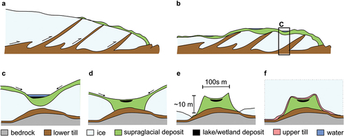 Figure 2. Principle sketch of Veiki moraine formation, modified from Sigfúsdóttir (Citation2013). NB. The profiles are vertically exaggerated. (A) Subglacial thrusting in an active ice sheet brings material to the ice surface and creates a thrust moraine at the margin. (B) As the ice stagnates, debris accumulates on the ice surface and a hummocky landscape develops. (C) Supraglacial sand and diamictons are flowing into basins in the ice where fine-grained lake sediment and organic wetland deposits also formed in some cases. (D) As the ice melts, mass movements bring more material into the basin, covering the lake sediments. (E) The ice melts and the former basin turns into a topographic high (a plateau) in the terrain. (F) The plateau is overridden by cold-based ice, which remolds it slightly and leaves a thin till layer on top.