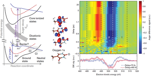 Figure 9. Sketch of the UV-pump soft-X-ray-probe scheme applied to thymine (left). The electronic and nuclear dynamics induced by UV photoabsorption, which excites the molecule to the state, are probed by measuring the Auger-Meitner spectrum following oxygen 1s core-shell ionization in a magnetic bottle electron spectrometer. The panel on the right shows the difference between the Auger-Meitner spectrum with and without UV excitation as a function of pump-probe delay. Figure adapted from ([Citation123]).