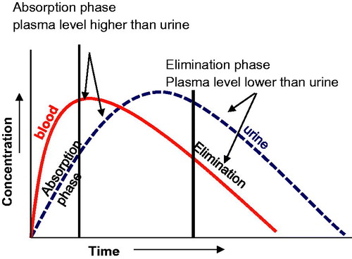 Figure 4. Alcohol blood and urine profile. The blood alcohol concentration and urine alcohol concentration curves are displaced in time as there is time lag in the production and diffusion of alcohol into the bladder.