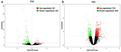 Figure 4. Vertebral gene expression changes. Volcano plots showing DEGs in F1 (a) and F3 vertebrae (b). Vertical dashed lines represent the -log10(adjusted p-value) of 0.05. Red and green spots represent statistically up- and down-regulated genes, respectively.