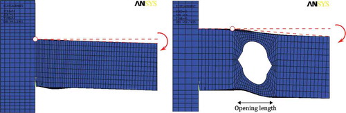 FIGURE 15 Source of rotation in solid and perforated beams.