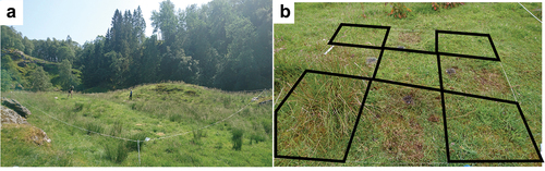 Figure 2. Sampling site (a) with one of the three blocks and five squares dedicated to the floristic survey marked in black (b). In Figure 2b, it is possible to see the pitfall traps and soil removal in the quadrats not used for this study.