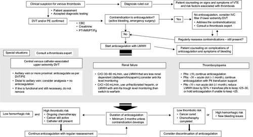 Figure 1 Suggested algorithm for the management of cancer-associated thrombosis in adolescent and young adult oncology patients.